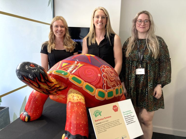 HIGHVERN welcome Sartorius the tortoise